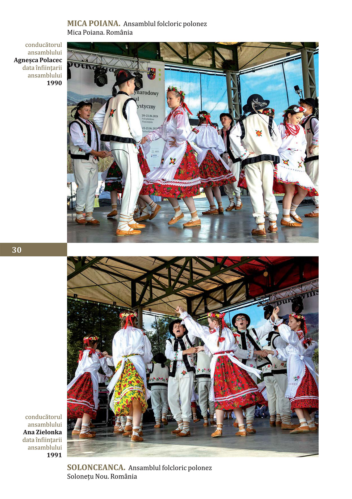 katalog_31