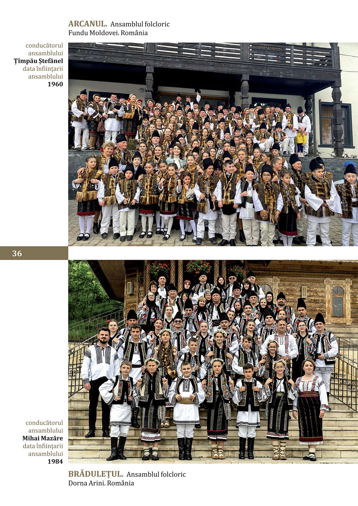 katalog_37